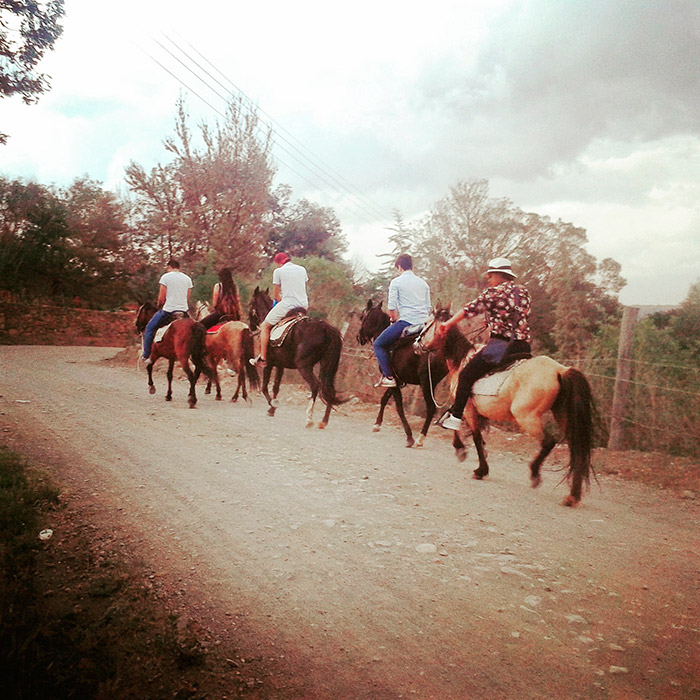 Foto dalla Colombia, sud America, cavalli a Villa de Leyva