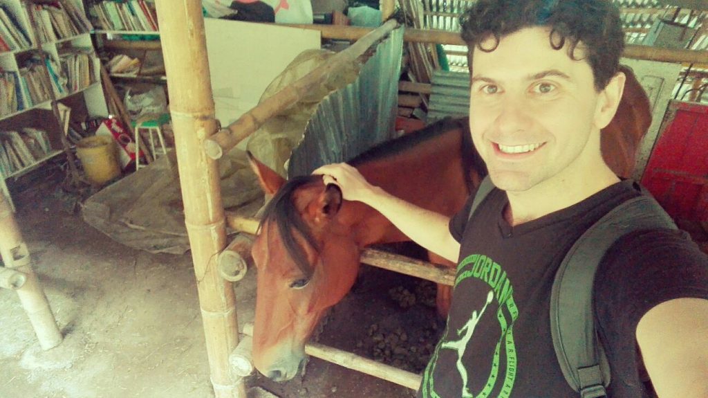 cavallo-colombia-eco-turismo